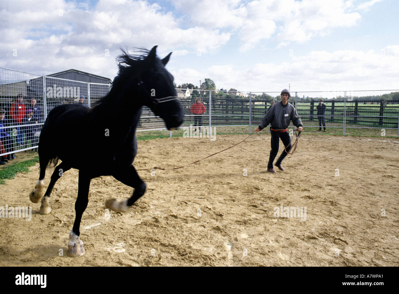 A horse and a trainer on a horse whispering course Stock Photo Alamy