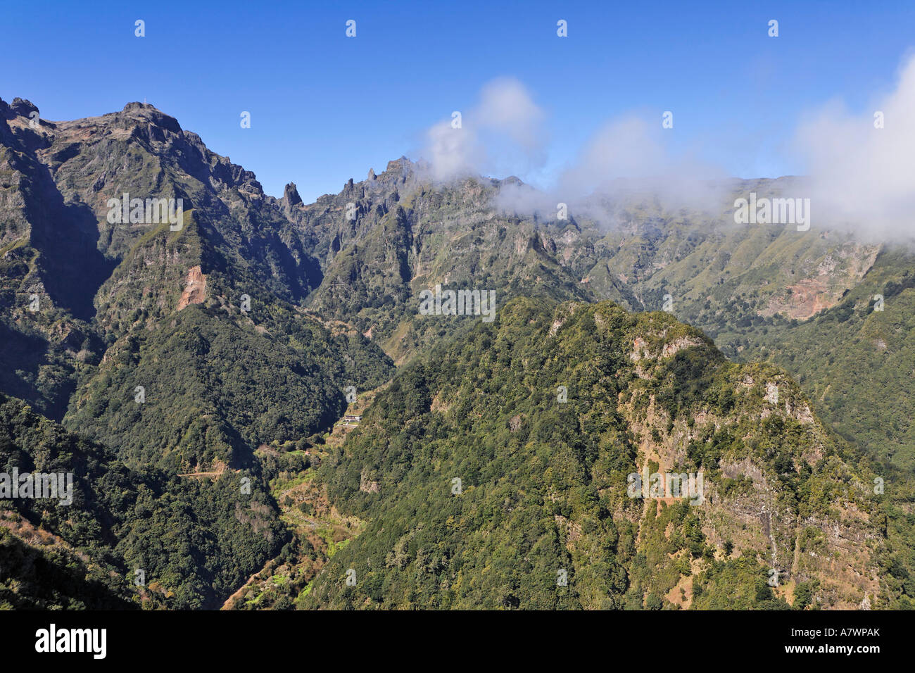 View to the central mountain range (Pico do Arieiro) from the viewing point Balcoes, Ribeiro Firo, Madeira, Portugal Stock Photo