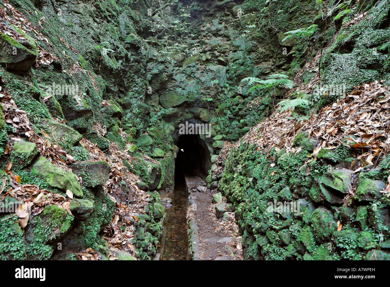 A long tunnel has to be mastered on the way to the, Caldeirao Verde