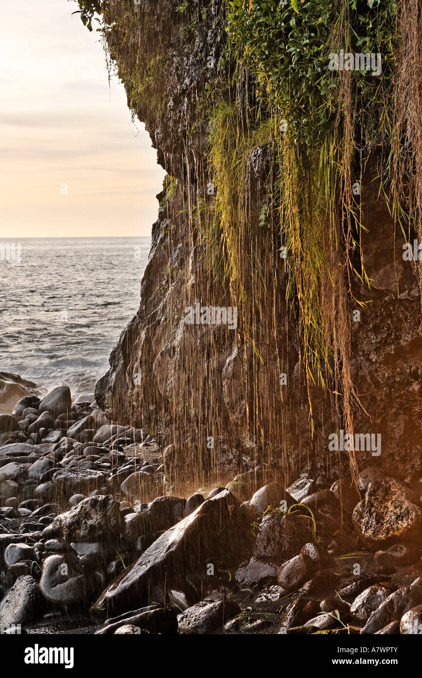 Cliffs and a rocky coast with a small waterfall, Ponta do Sol, Madeira, Portugal Stock Photo