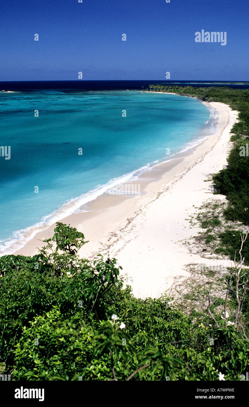Venezuela, Falcon State, Morrocoy beach Stock Photo
