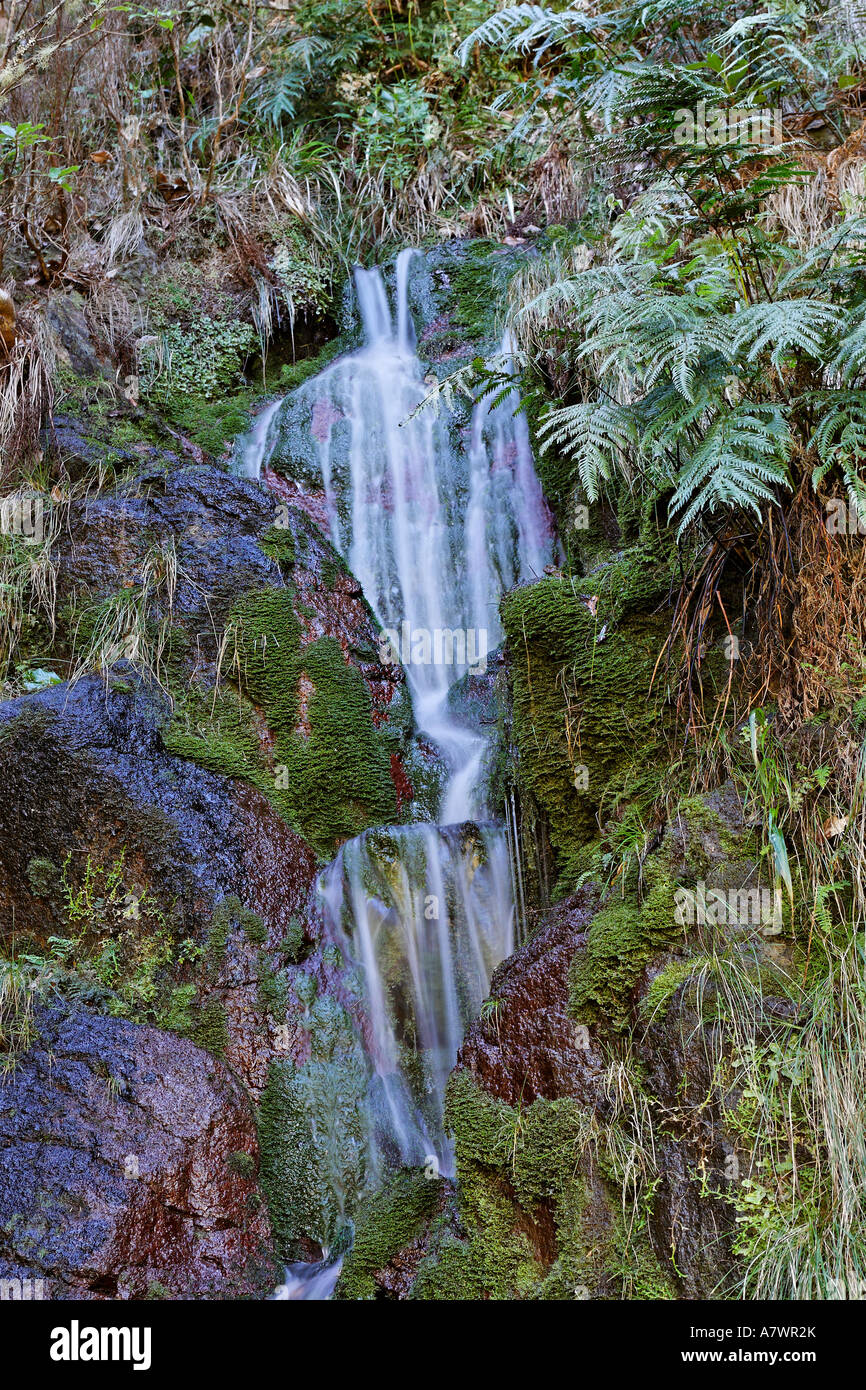 Small waterfall at the Levada 25 fountains, Rabacal, Madeira, Portugal Stock Photo