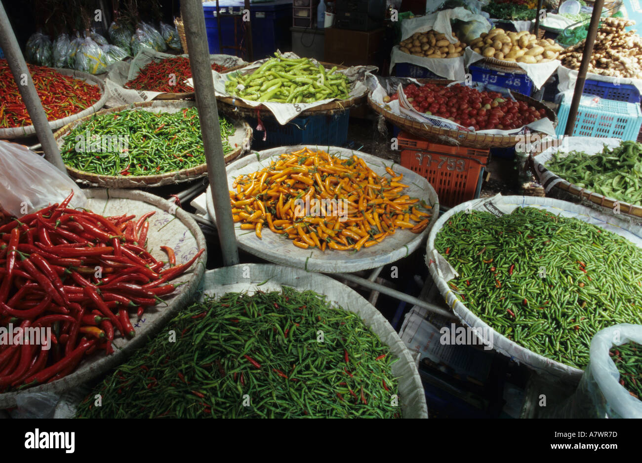 Chillie Peppers in Thailand Stock Photo