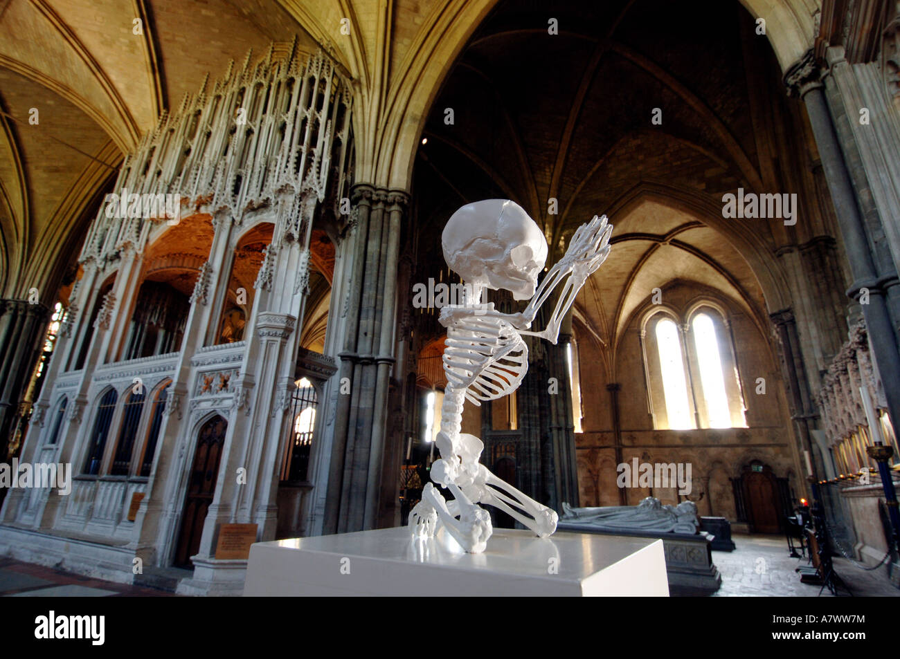 A sculpture of a foetal skeleton in white painted bronze by Mark Quinn at Winchester Cathedral Stock Photo