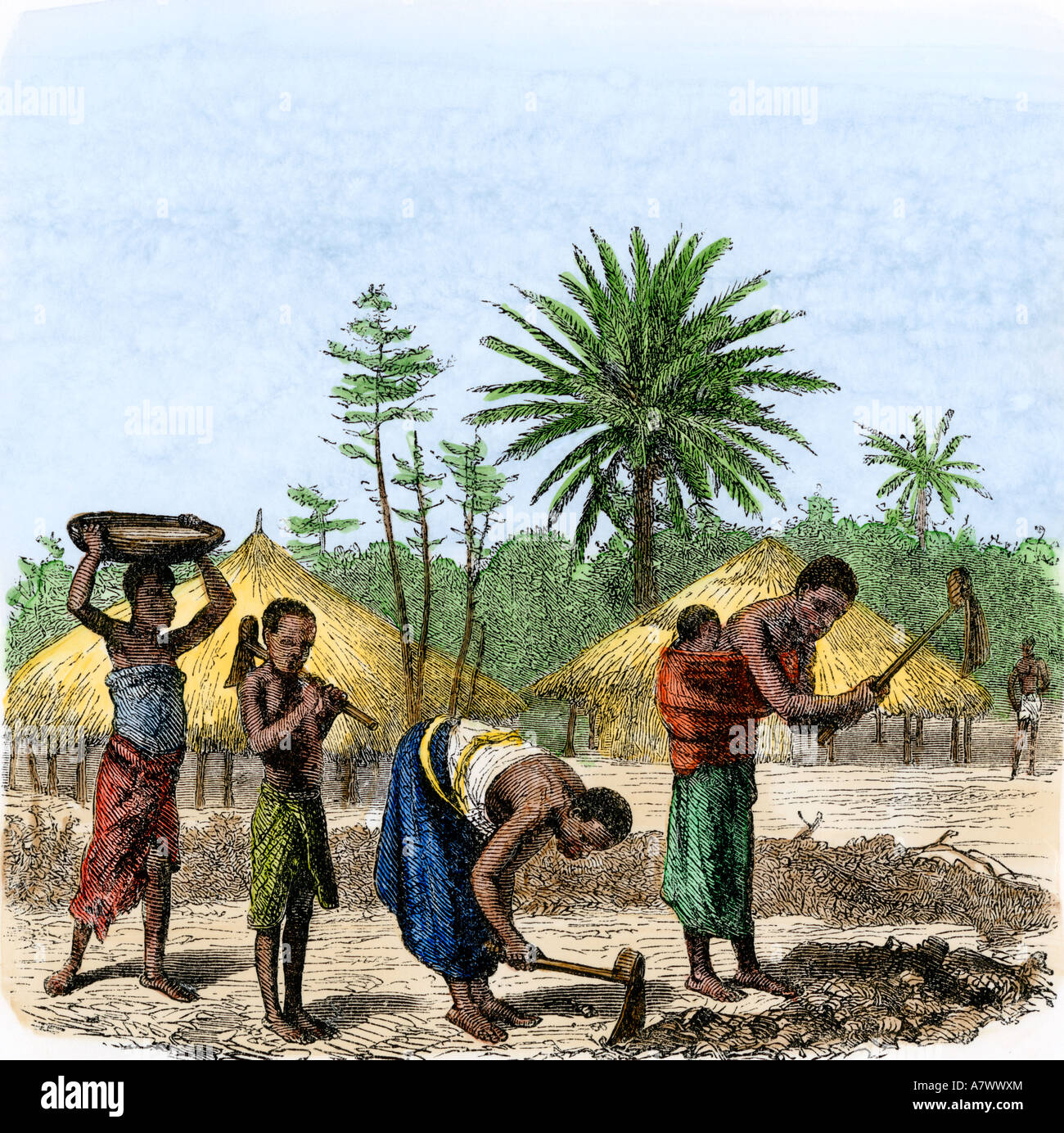 Women planting crops in central Africa 1860s. Hand-colored woodcut Stock Photo