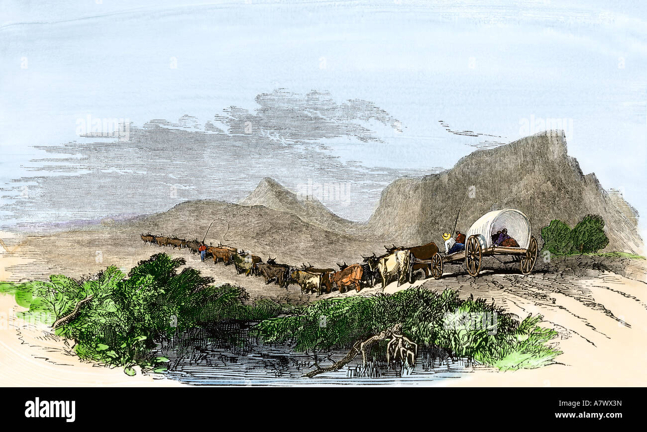 Cape of Good Hope wagon drawn by oxen South Africa 1800s. Handcolored