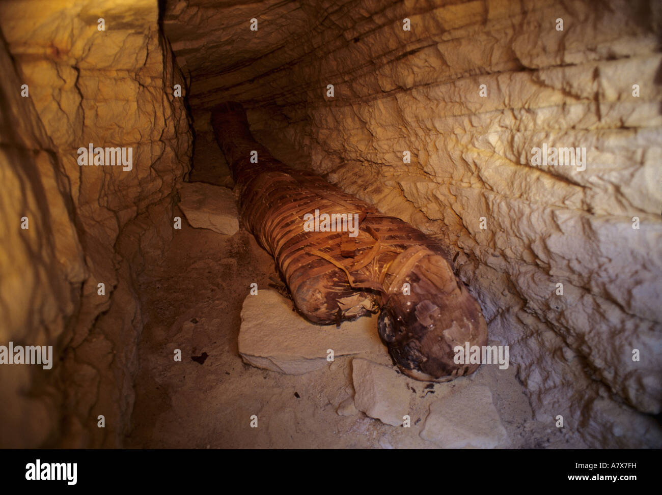 Egypt, Egypt, Bahariya Oasis, Valley of the Golden Mummies, Mummy found