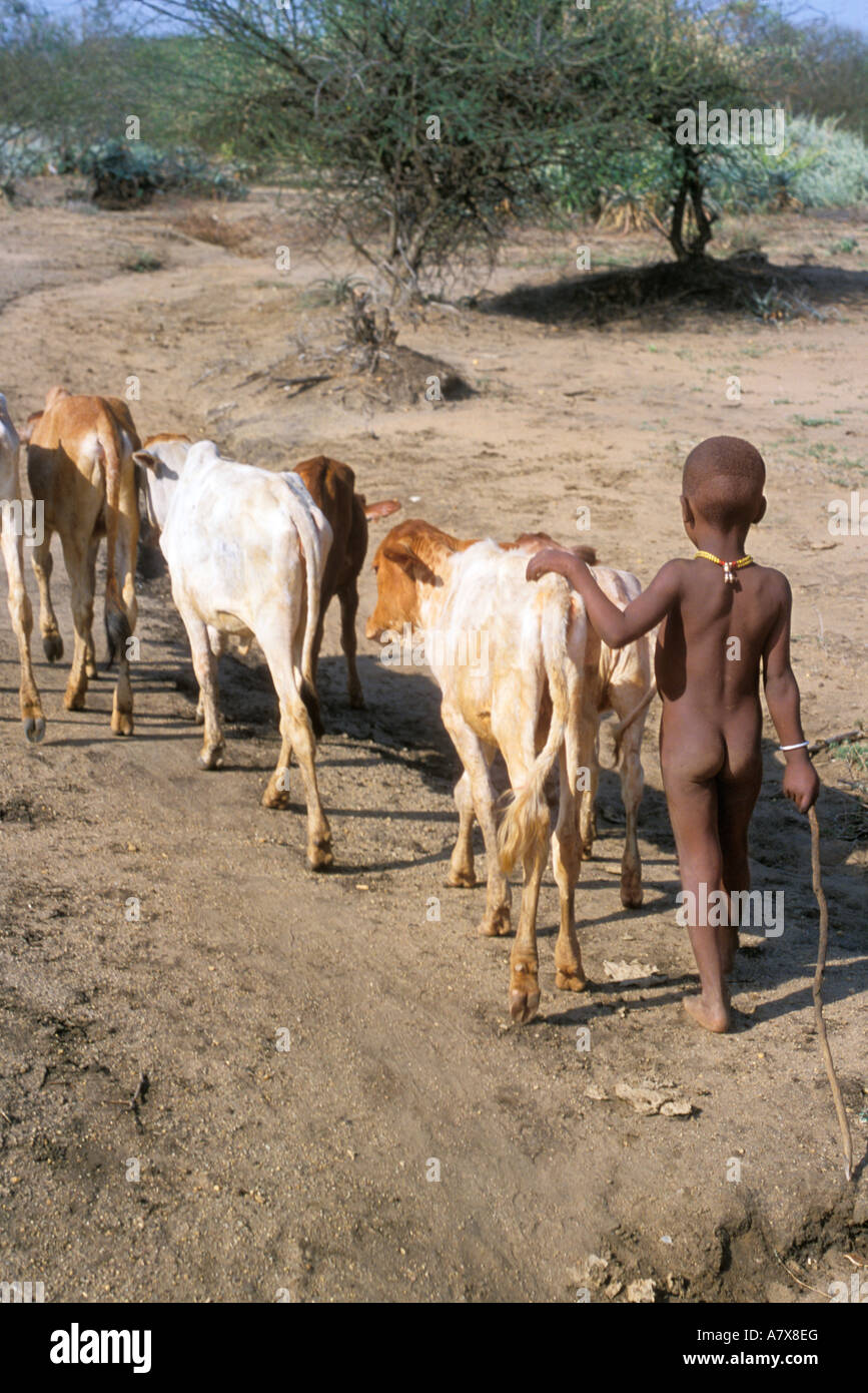 A young Hamar boy tends cattle, near his home village in Ethiopia's Omo River region, Africa. Stock Photo