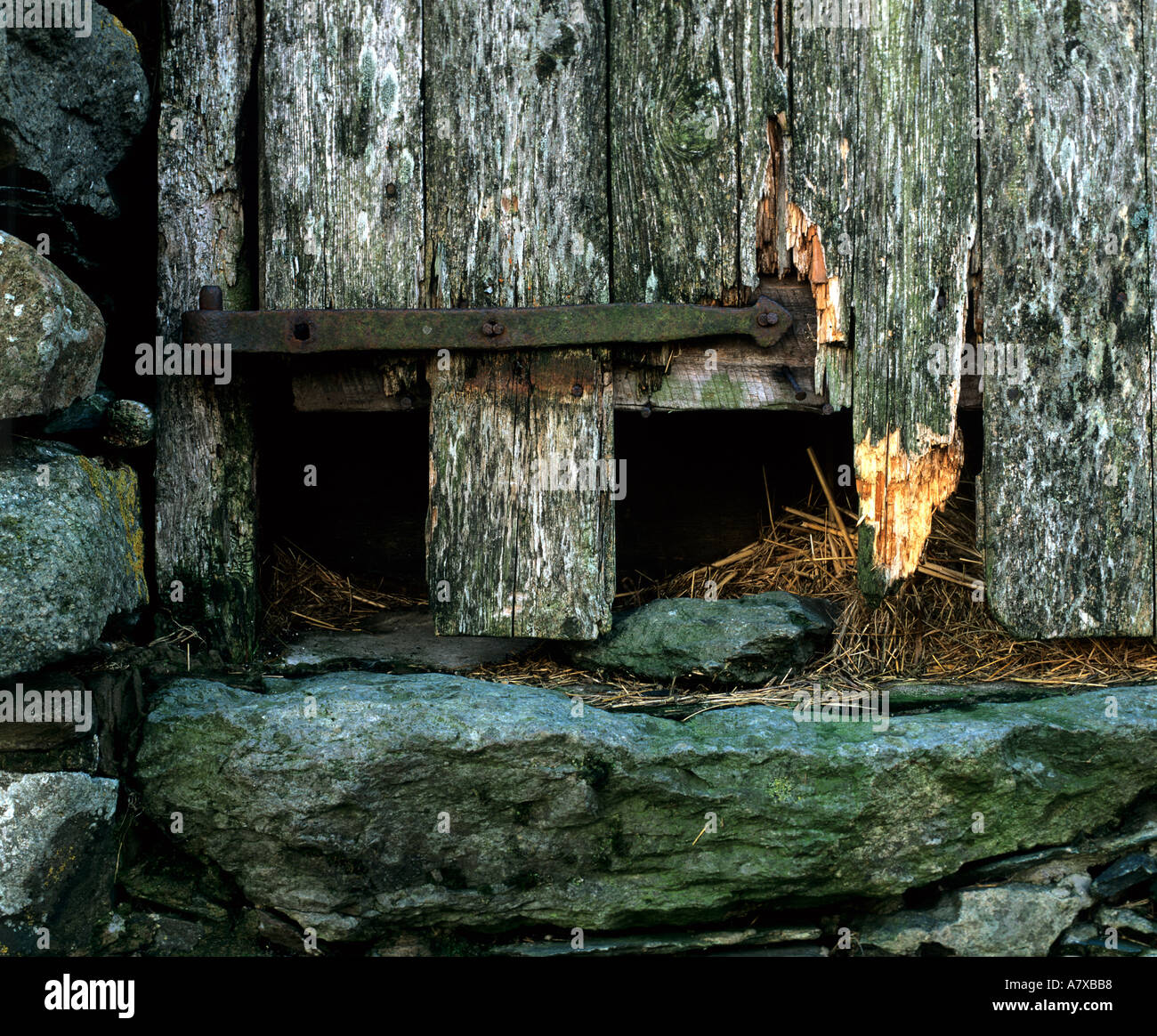 Rotten barn hi-res stock photography and images - Alamy