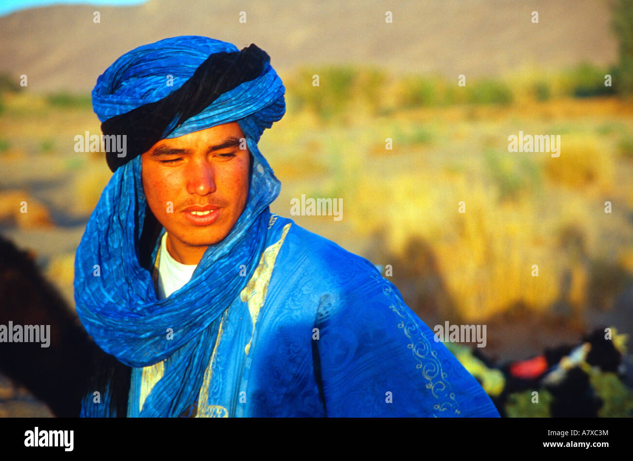 Camel trek guide, Zagora, Morocco Stock Photo Alamy