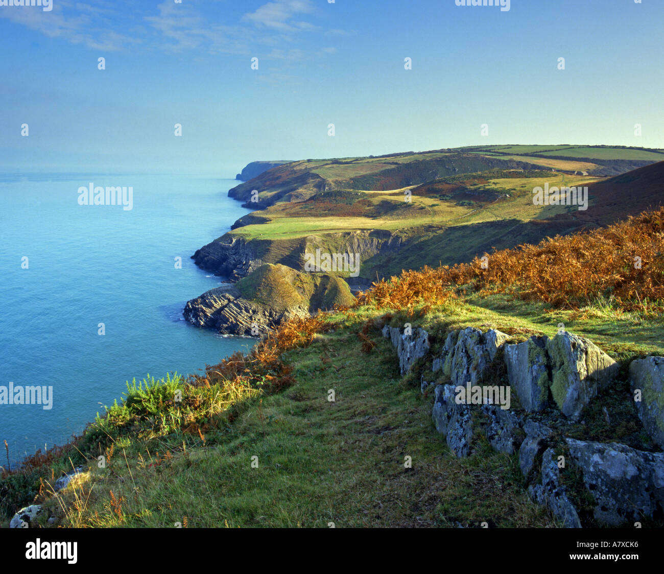 Cliffs at Cardigan Bay. From Cwmtudu north to New Quay Cardigan ...