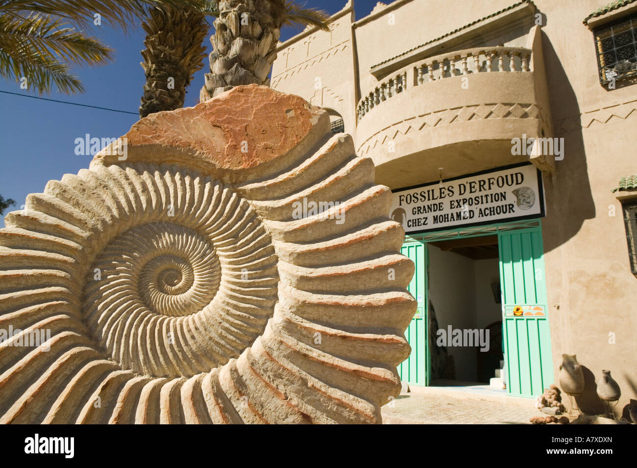 Rock and fossil shop hires stock photography and images Alamy