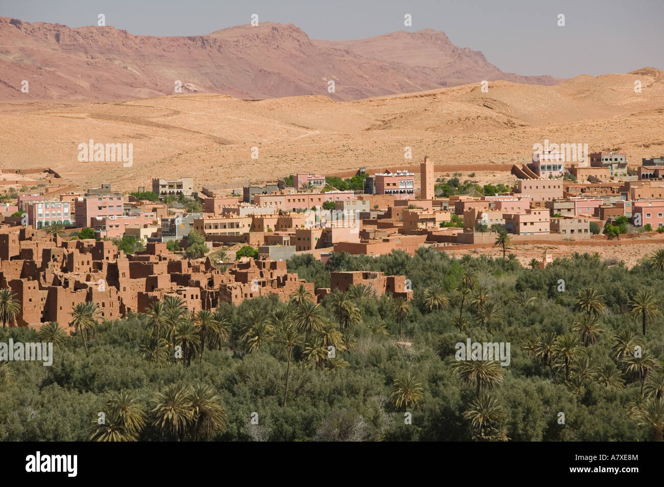 MOROCCO, Todra Gorge Area, TINERHIR: Town View & Palmerie Date Forest / Daytime Stock Photo