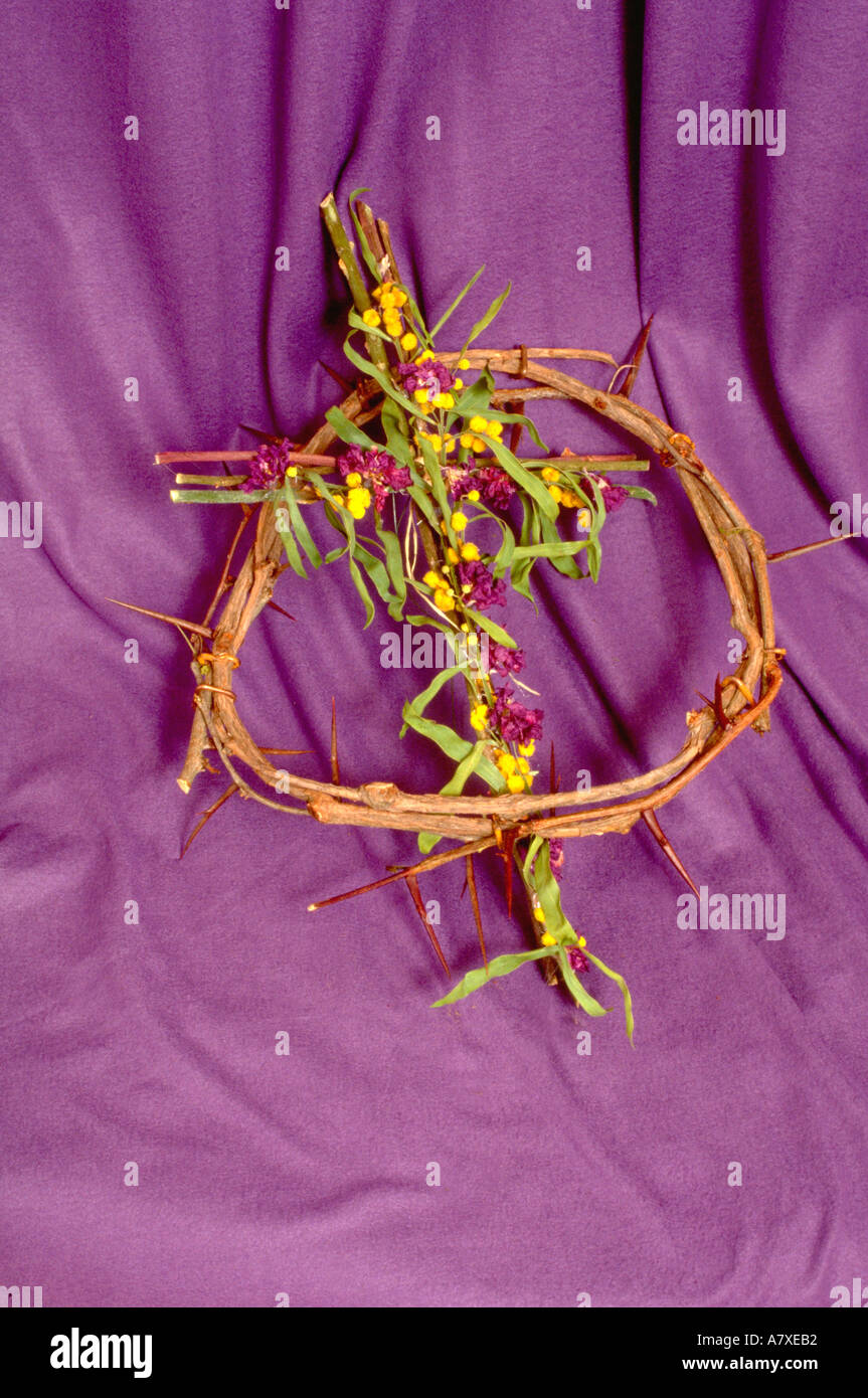 Purple cloth crown thorns hi-res stock photography and images - Alamy
