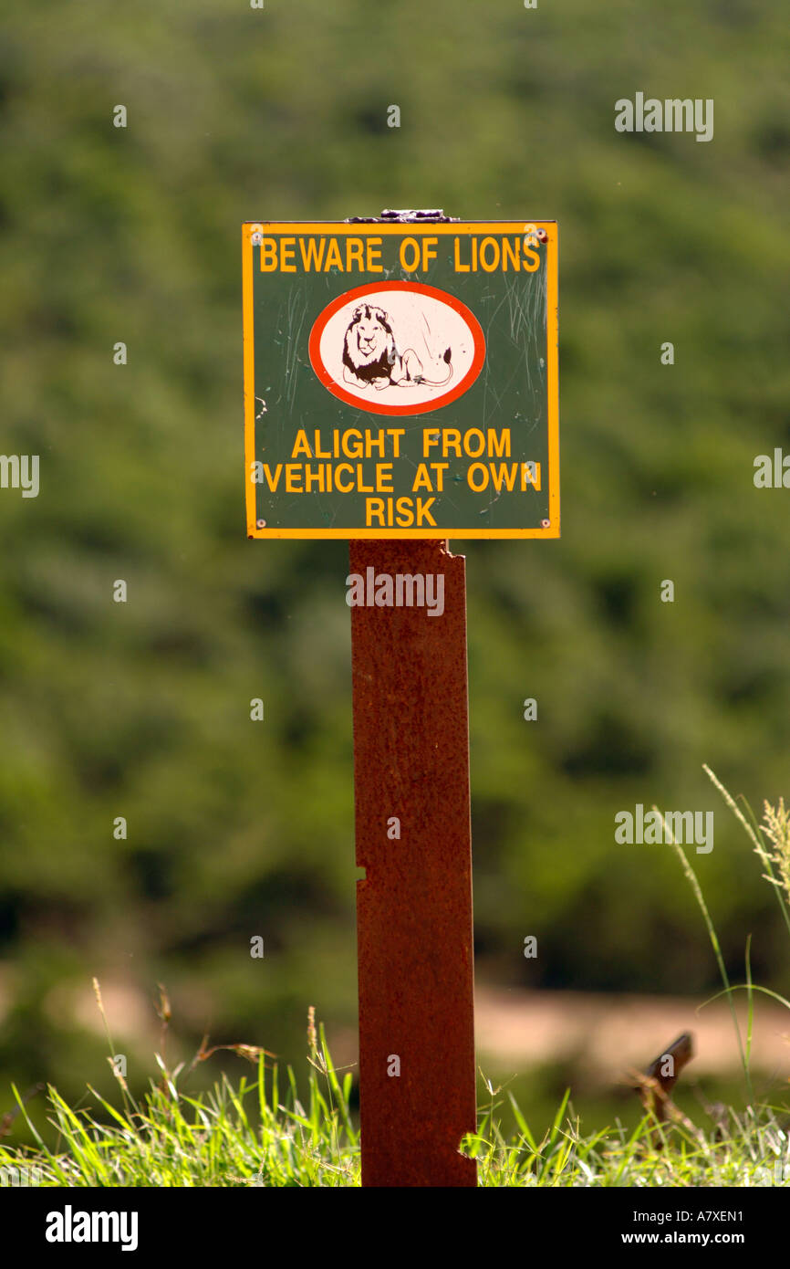 A 'Beware of lions' sign in the Addo Elephant National Park in South Africa. Stock Photo