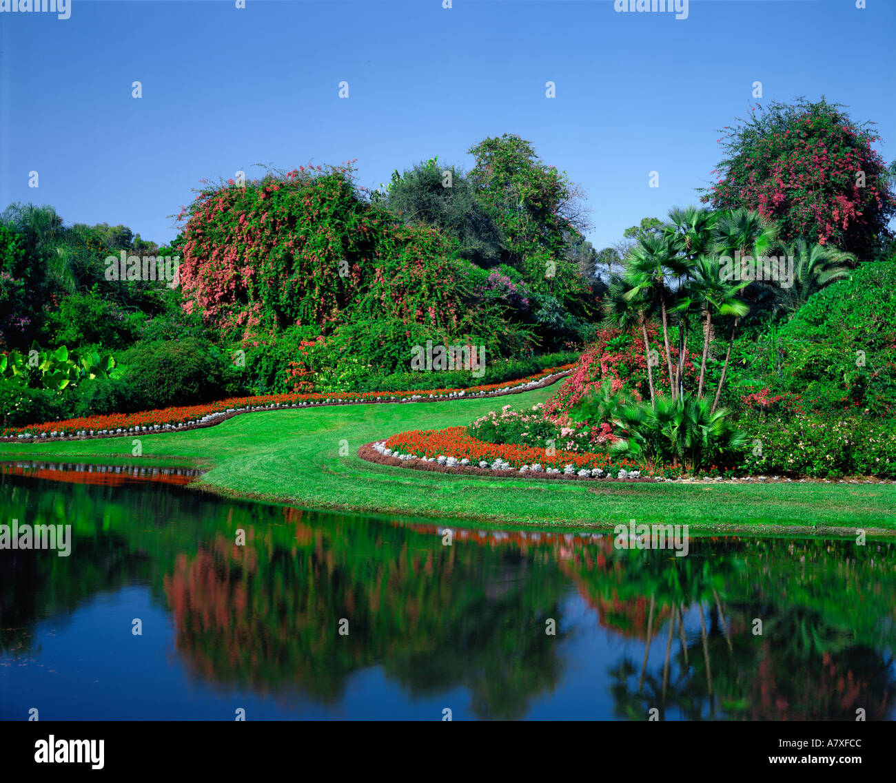 Cypress Gardens in Florida USA Stock Photo Alamy