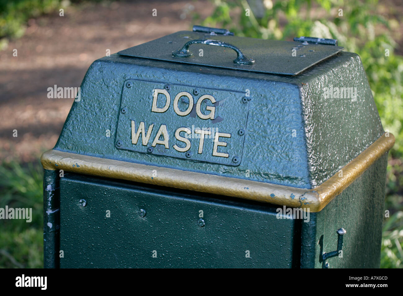 Dog waste bin Stock Photo Alamy
