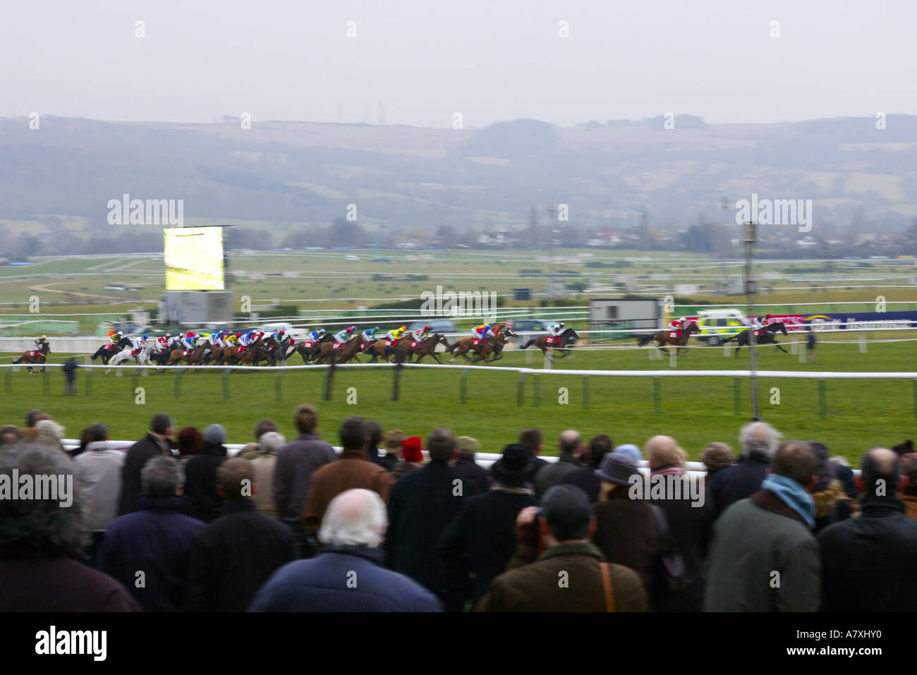 Action finish line horse racing jockey running sports winning hires