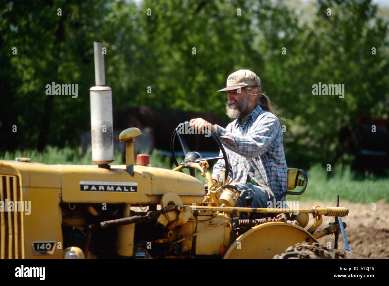 FARMING Richmond Illinois Farmer wearing flannel shirt baseball cap drive old Farmall tractor closeup view organic farm Stock Photo Alamy