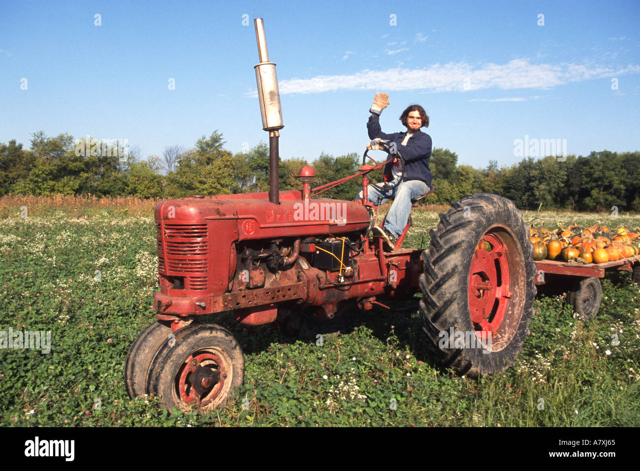 Wagon load of pumpkins hi-res stock photography and images - Alamy