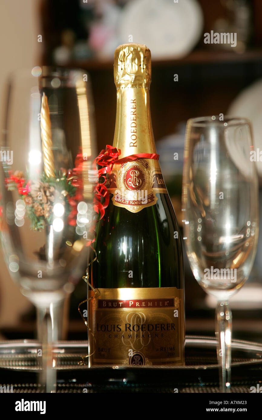 Acrylic Bottle with Acrylic Champagne Glasses - 2 Varieties main image 1