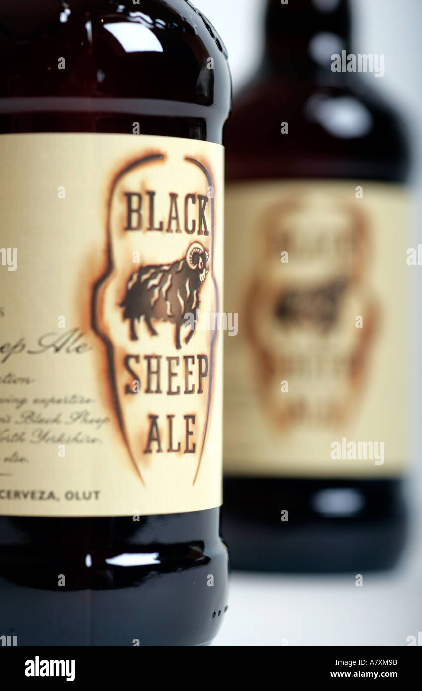 Black Sheep Beer Stock Photo