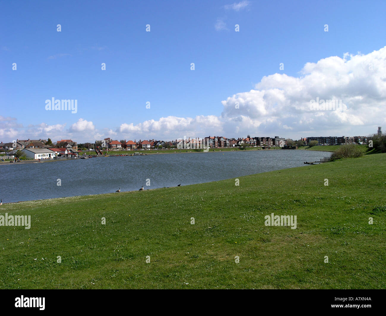 Fairhaven Lake Lytham St Annes Lancashire Stock Photo Alamy