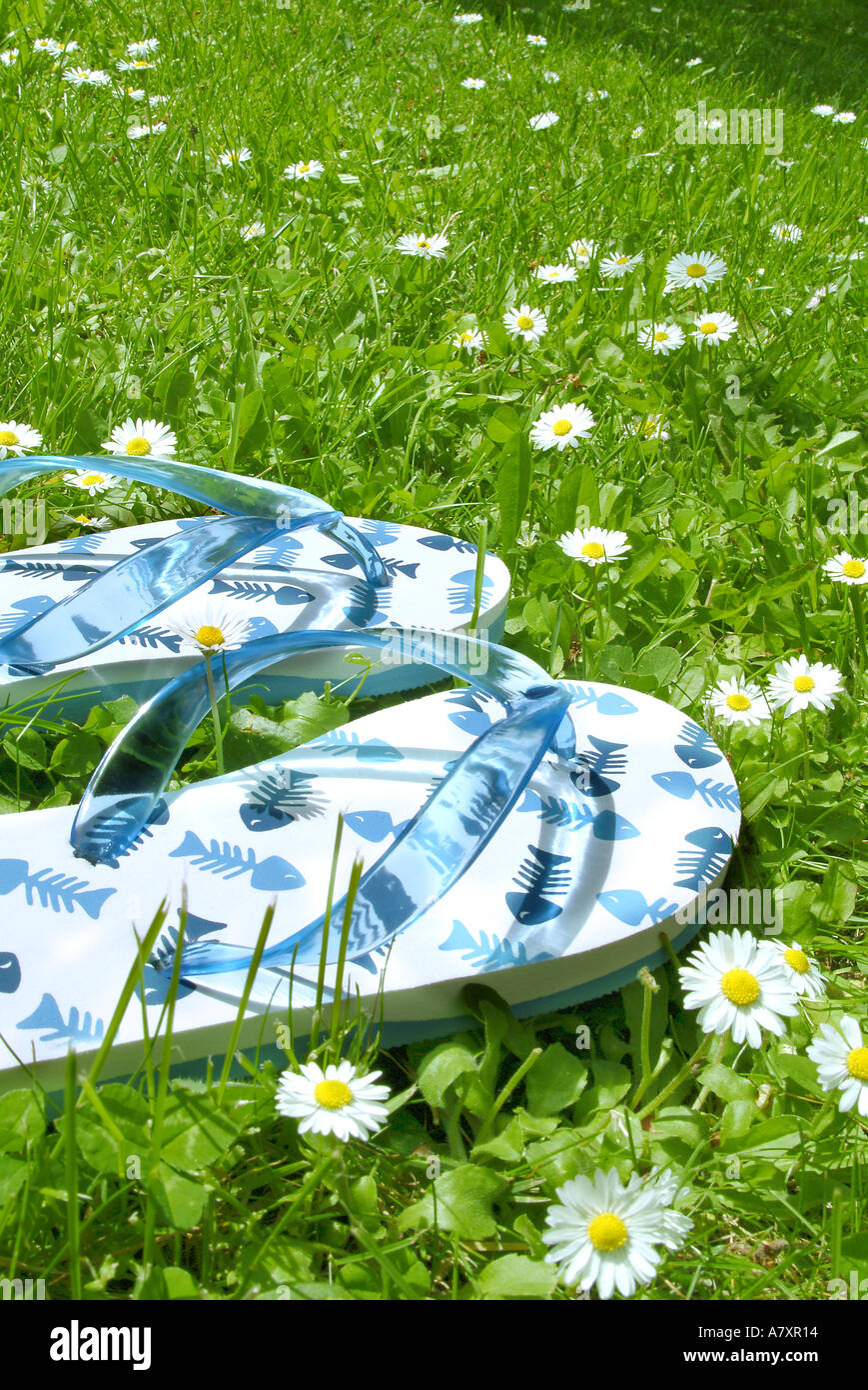Flip Flops Shoes on a green lawn Stock Photo