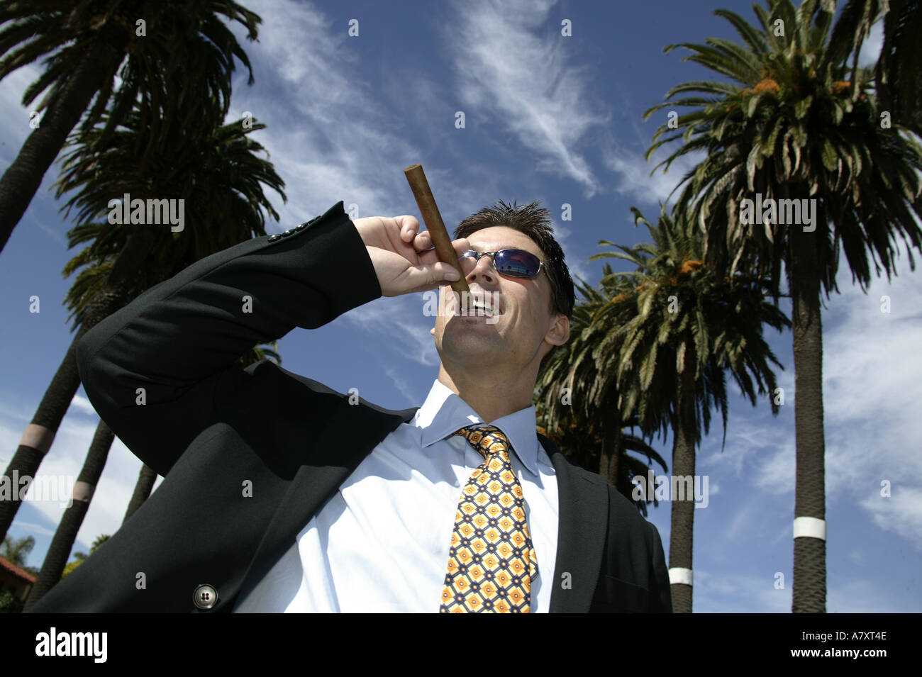 Businessman smoking a cigar Stock Photo Alamy