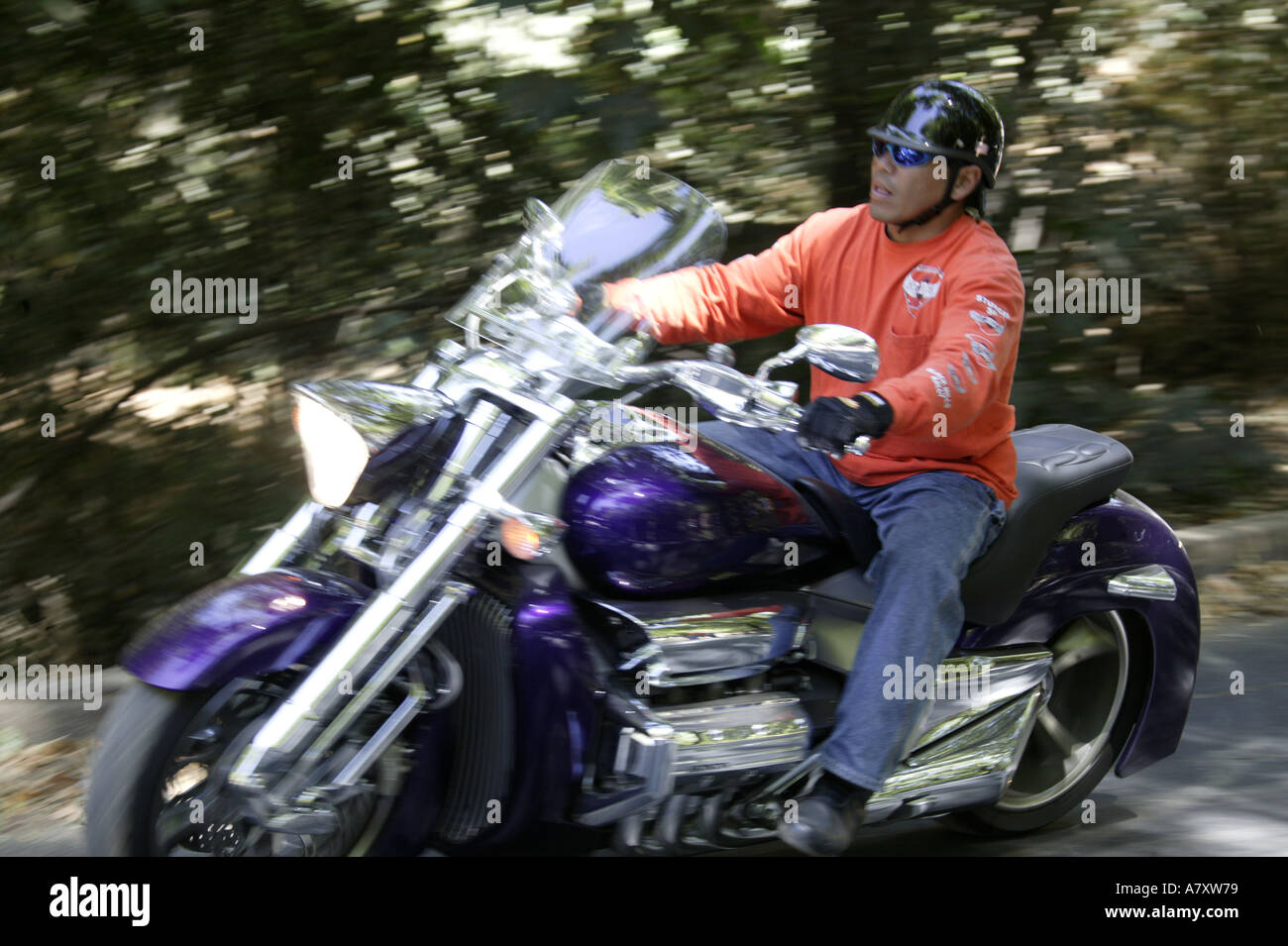 Male rider hi-res stock photography and images - Alamy