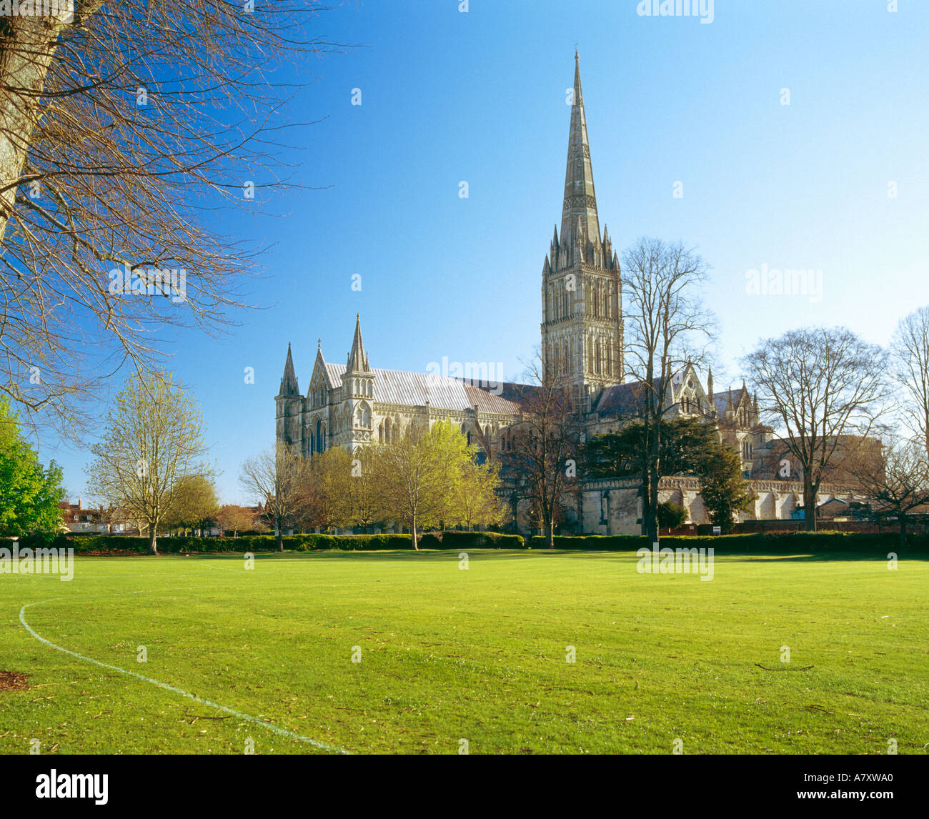 Salisbury Cathedral from the northwest at dawn in springtime Stock Photo