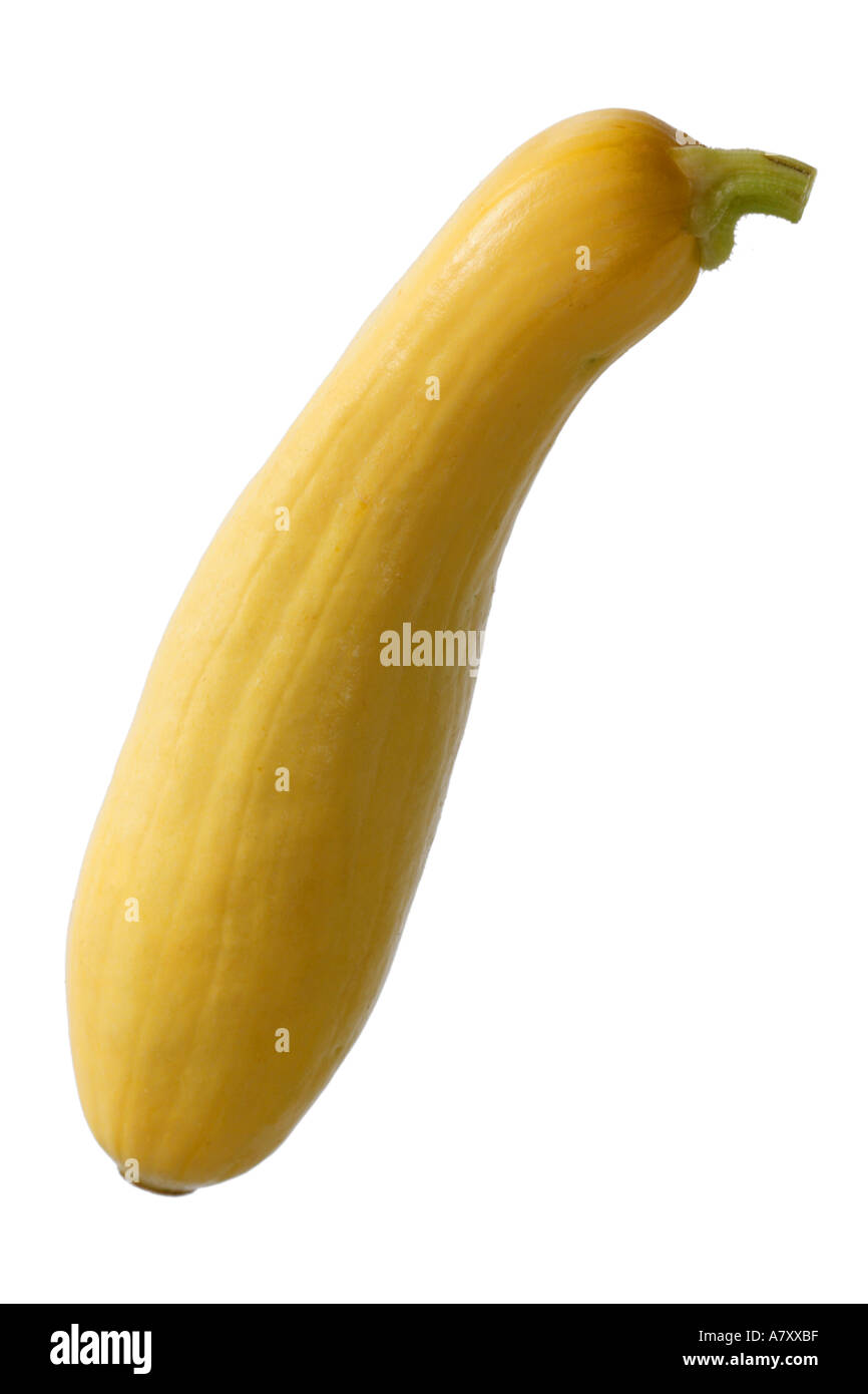 Yellow Zucchini Squash Stock Photo