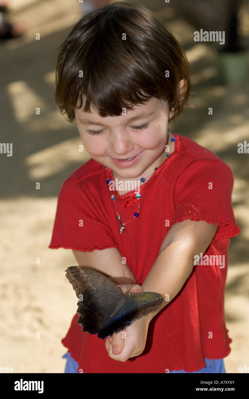 A girl holds a blue morpho butterfly at the Butterfly Farm on St. Martin. (MR) Stock Photo