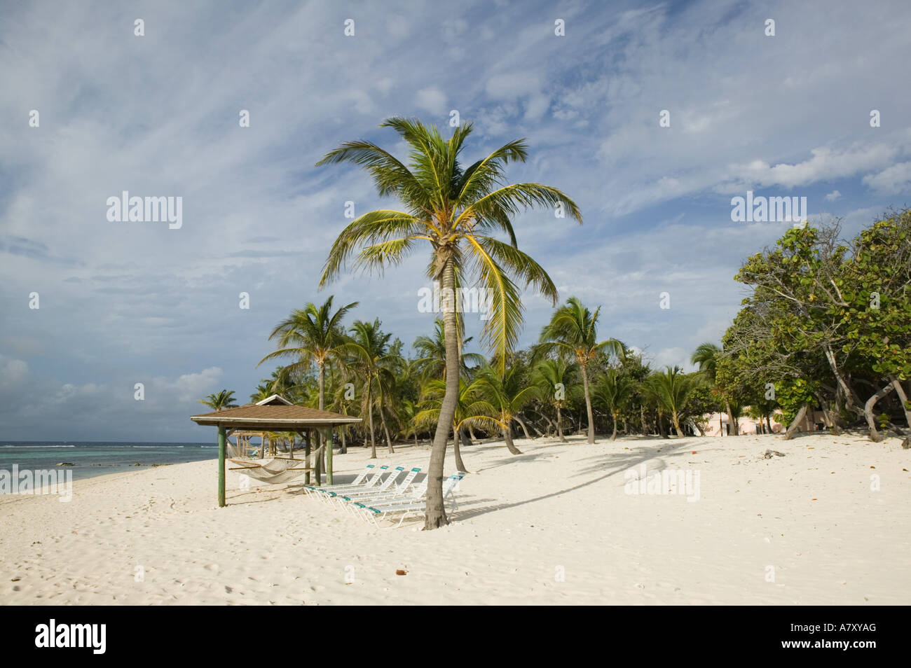 Cayman Islands Cayman Brac West End Brac Reef Beach Resort Beach View Stock Photo Alamy
