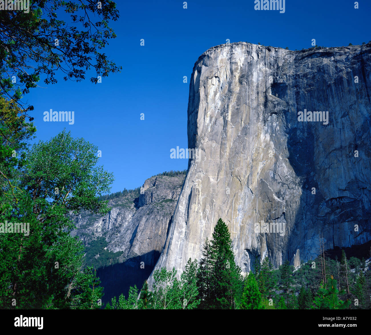 El Capitan in Yosemite National Park California USA Stock Photo