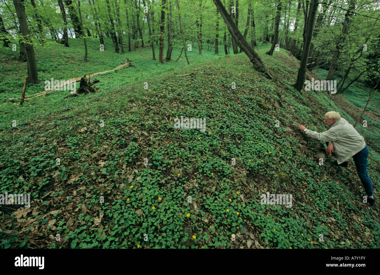 Germany, Sky Disk, Fortifications at Mittelberg from the Bronze age