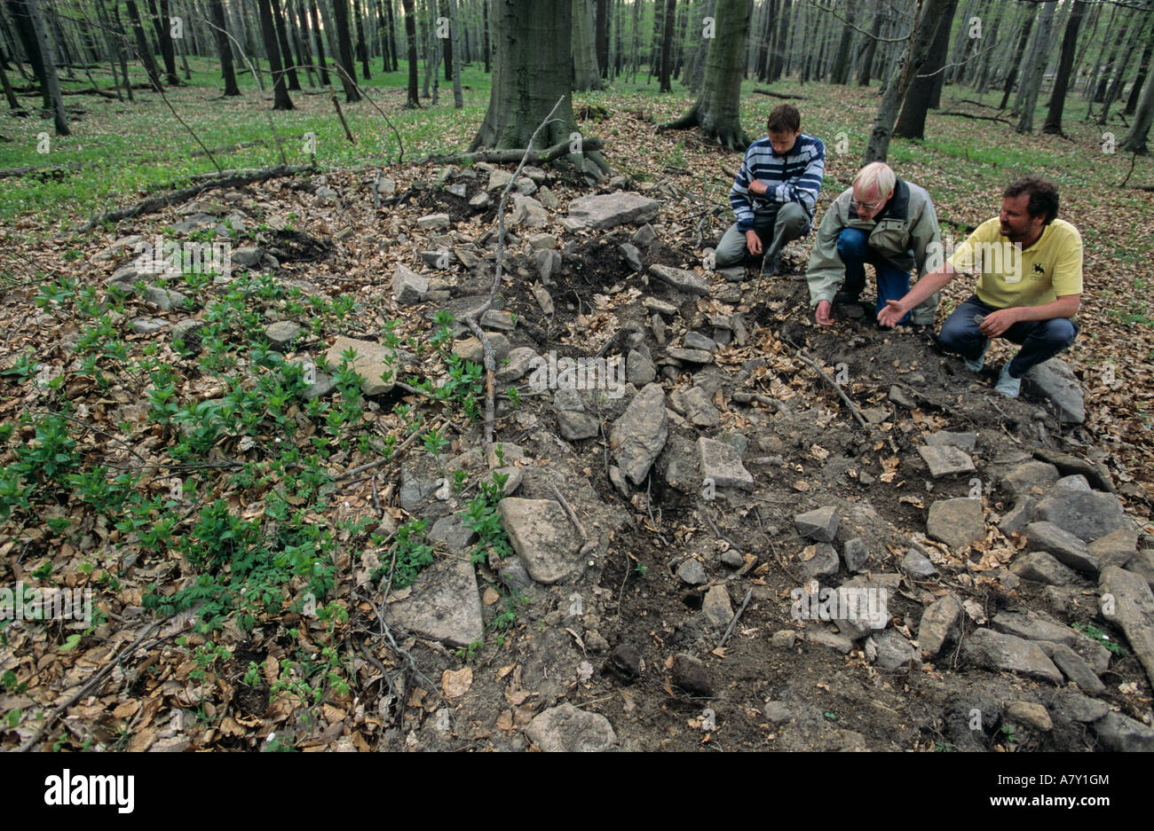 Germany, Sky Disk, Fortifications at Mittelberg from the Bronze age