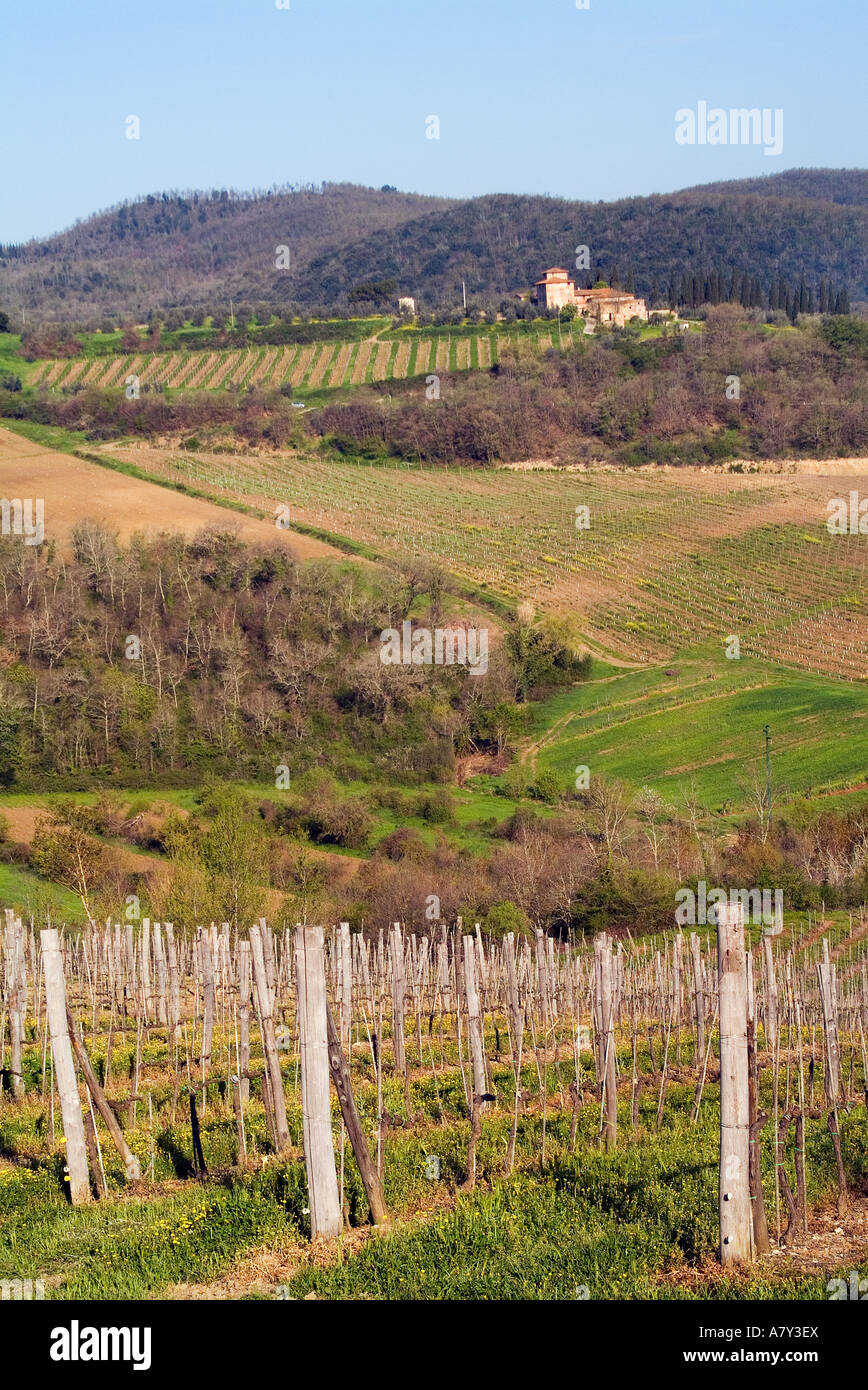 The vineyards roll into the distance around the wineries of the Chianti
