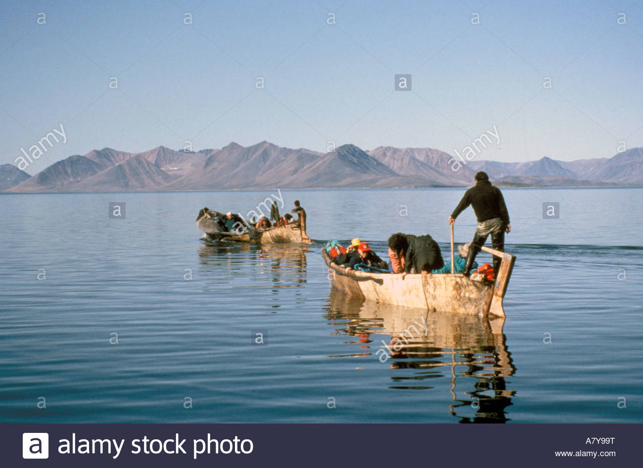 On the coasts of the Chukotka Peninsula, discovered huge sea snakes from the US On the coasts of the Chukotka Peninsula, discovered huge sea snakes from the US