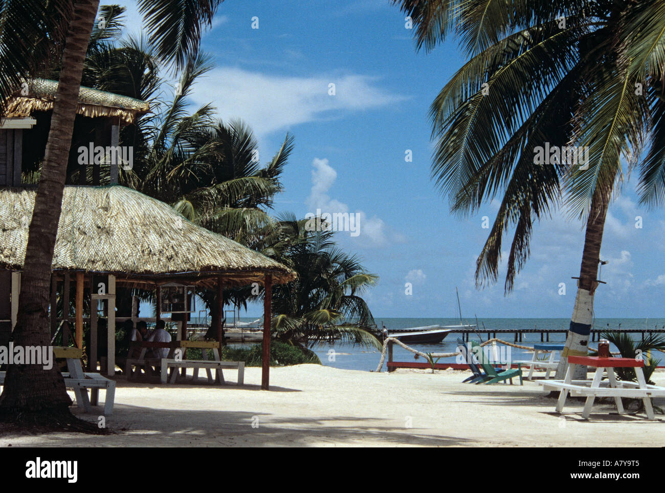 POPEYE'S BAR and Palm trees on the beach overlooking the Caribbean sea. Caye Caulker Belize Central America Stock Photo
