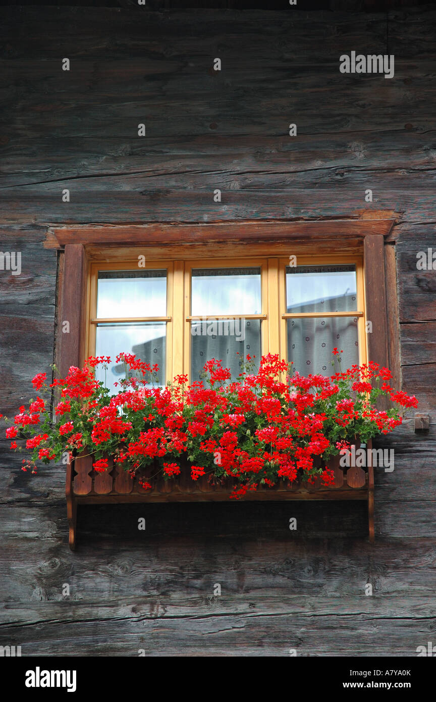 Switzerland, Zermatt, window box with flowers Stock Photo Alamy