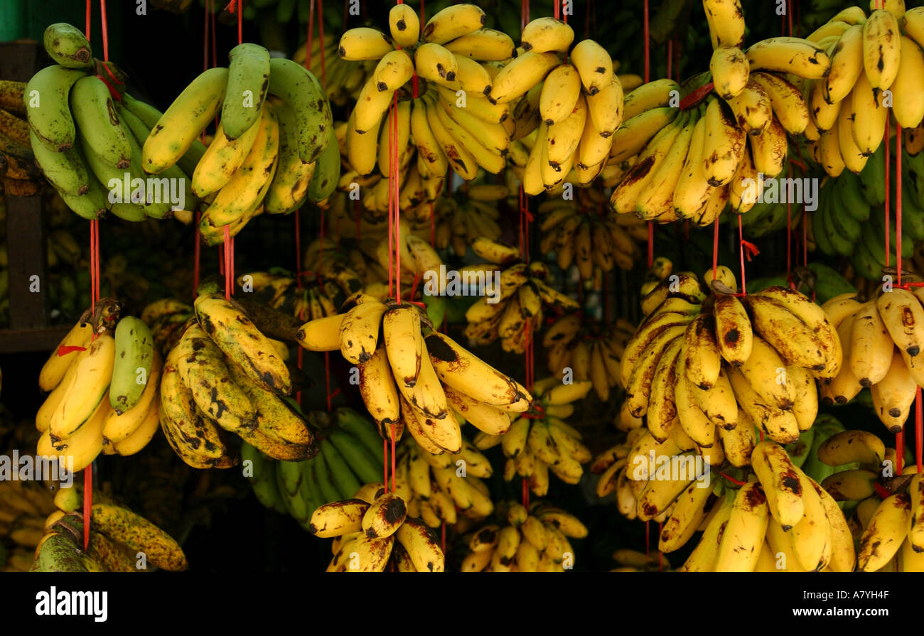 Bananas for sale at a market stall in Kuala Lumpur, Malaysia Stock Photo Alamy