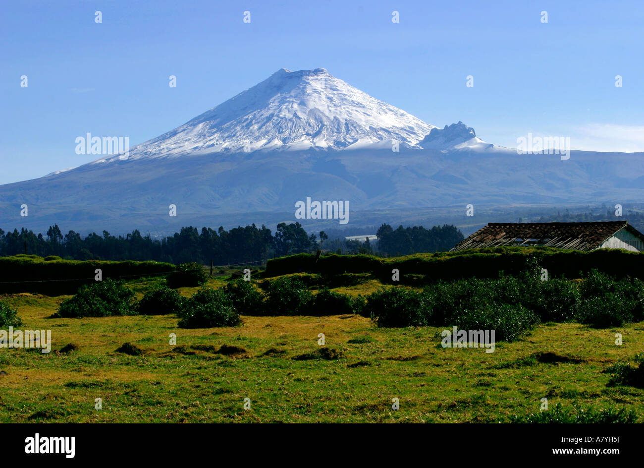 Cotopaxi Mountain, Ecuador Stock Photo - Alamy