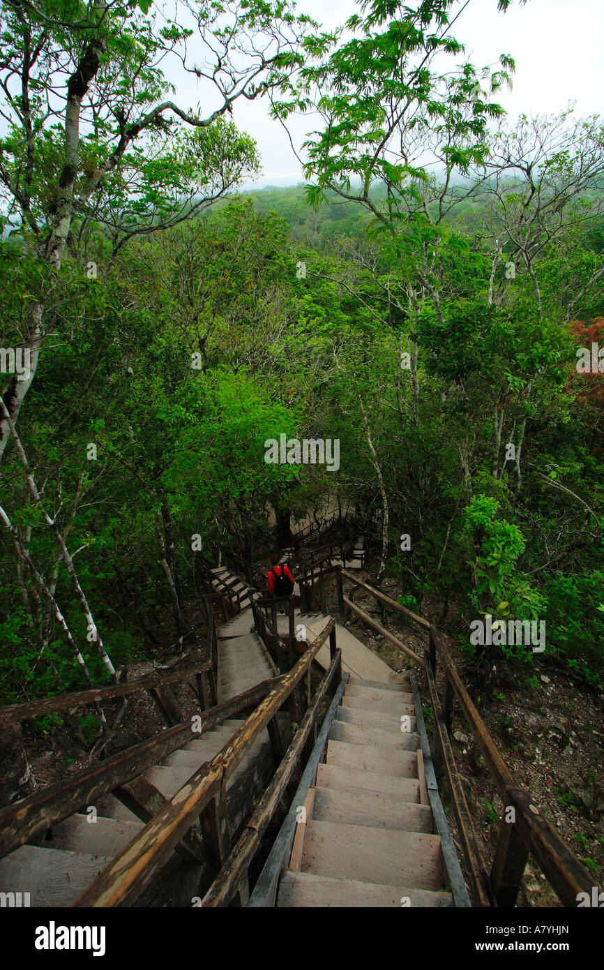 Guatemala, Tikal, stairs decending from temple # 4 Stock Photo