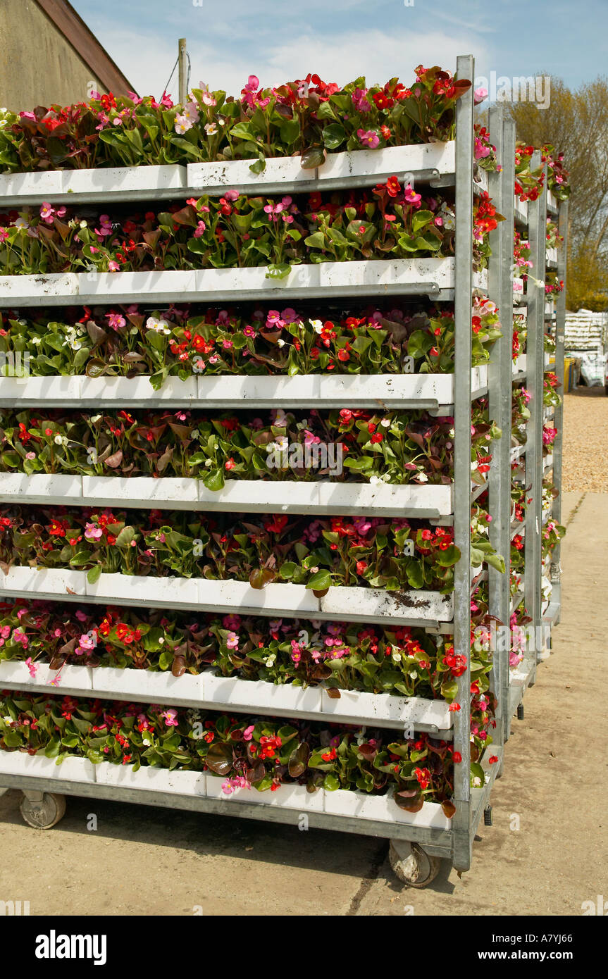 Nursery plant deliveries hires stock photography and images Alamy