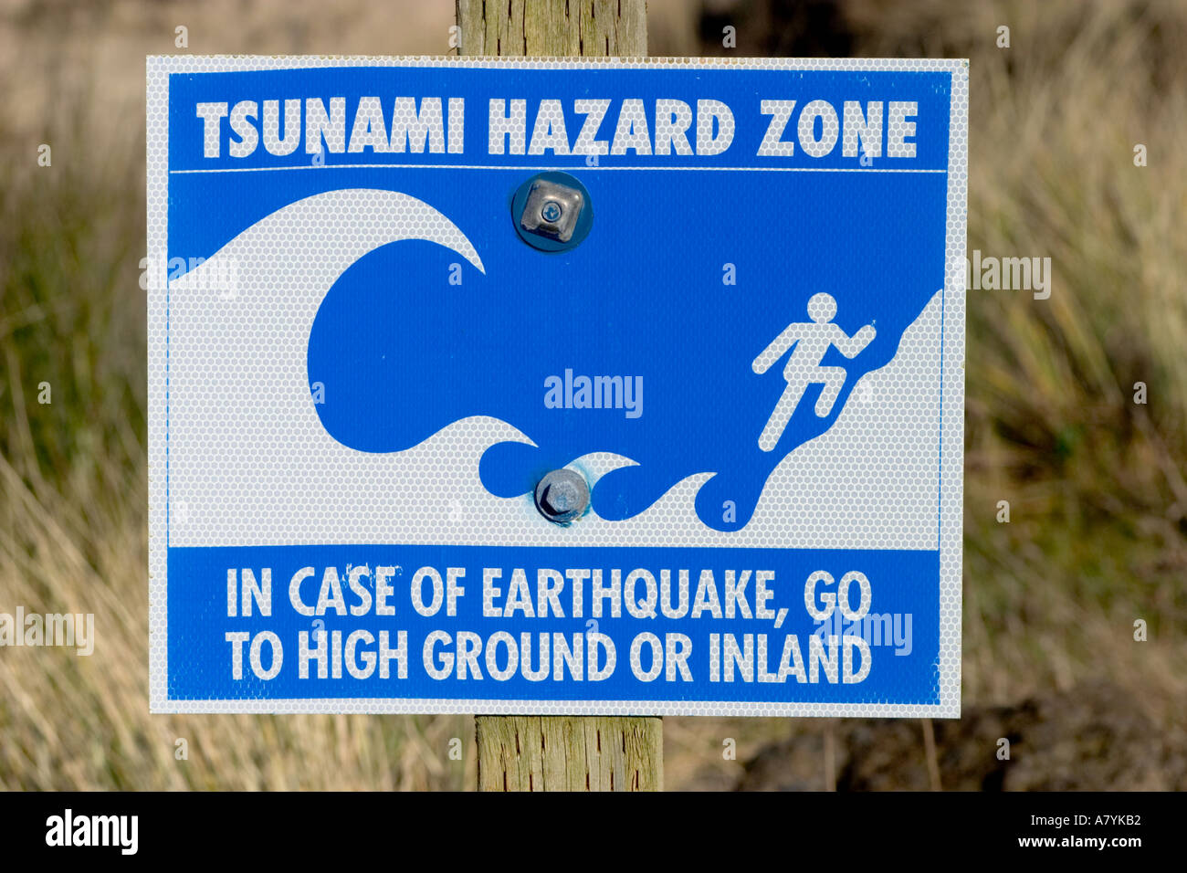 Oregon coast tsunami signs