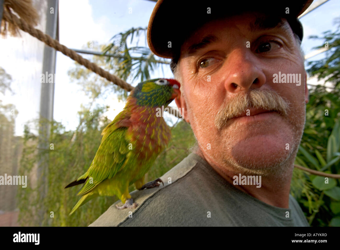 Australia, Darwin, Peter Mc Grath and his wife run a Bed & Breakfast