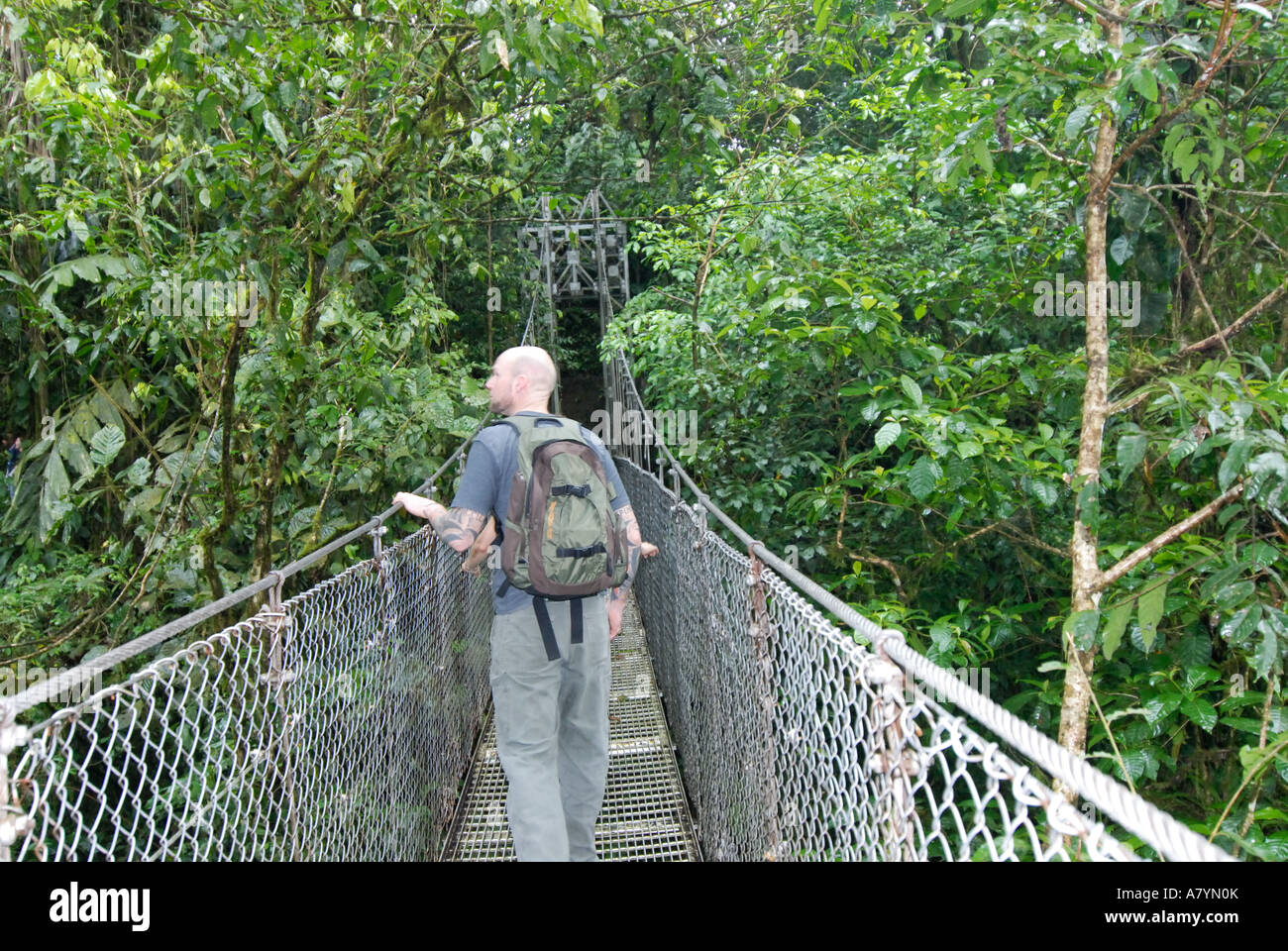 Costa Rica, Arenal Hanging Bridges hiker on canopy walk Stock Photo