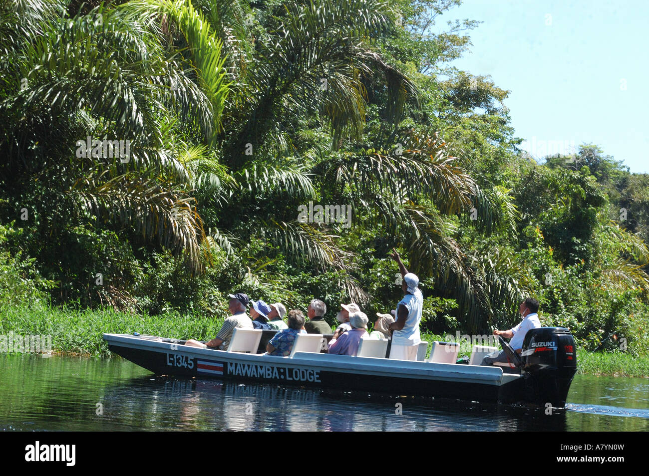 Costa Rica, Tortuguero, birdwatching from boat Stock Photo - Alamy