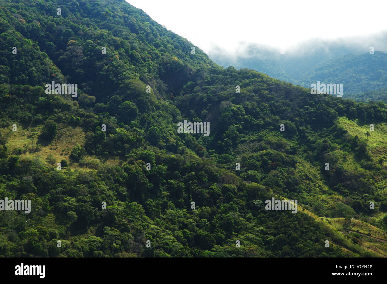 Costa Rica, Monteverde cloud forest with clouds Stock Photo